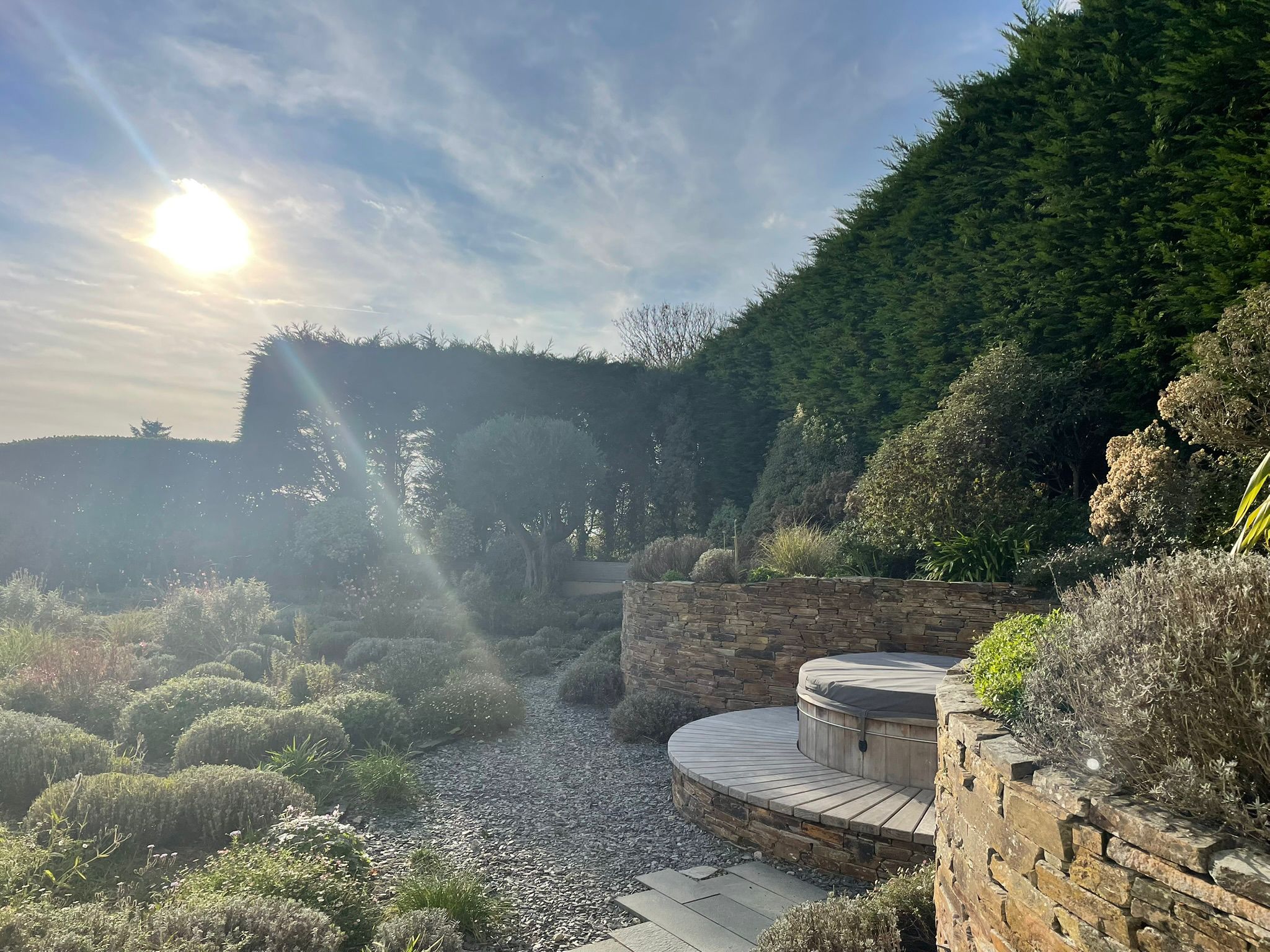 Morning garden, Cornwall