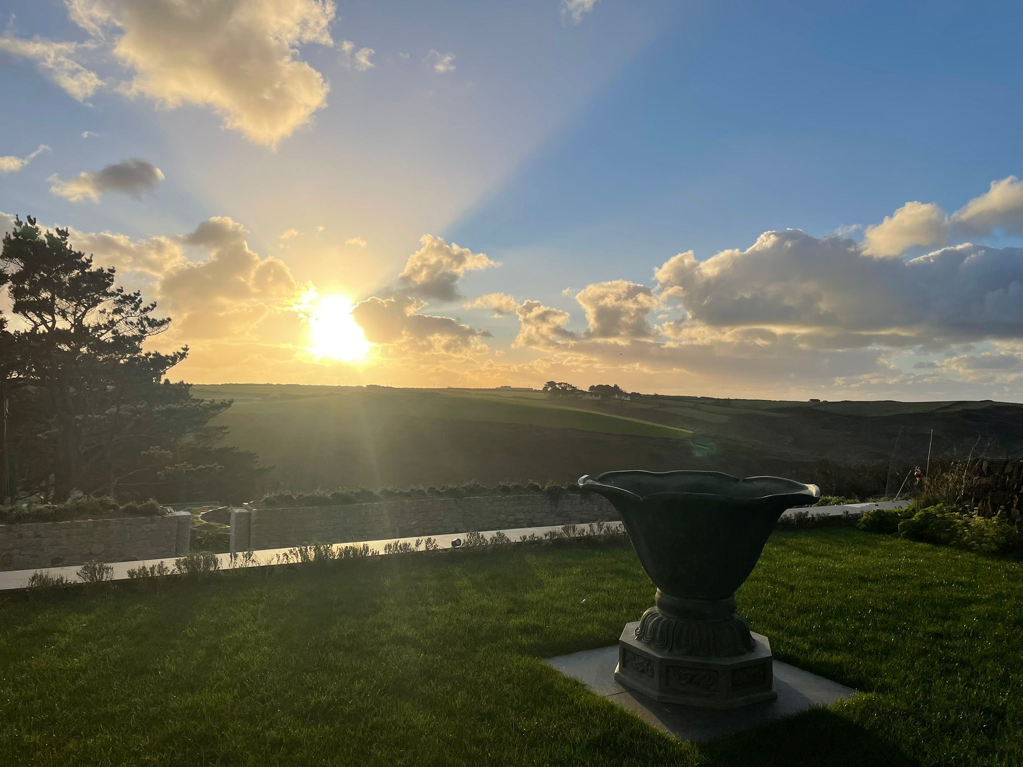 Garden at golden sunset, Cornwall